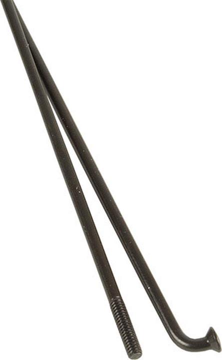 Immagine prodotto DT Swiss Competizione