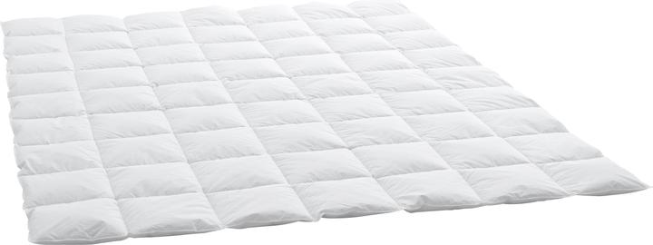 Image du produit Swiss Dream by billerbeck Caro Basic 90 (490 g, 160 x 210 cm)