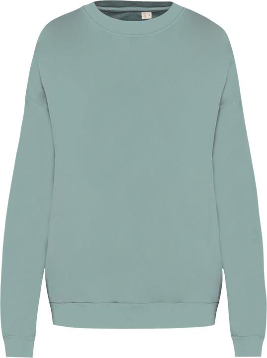 Immagine prodotto Native Spirit Felpa Oversize Adulto Unisex (M)