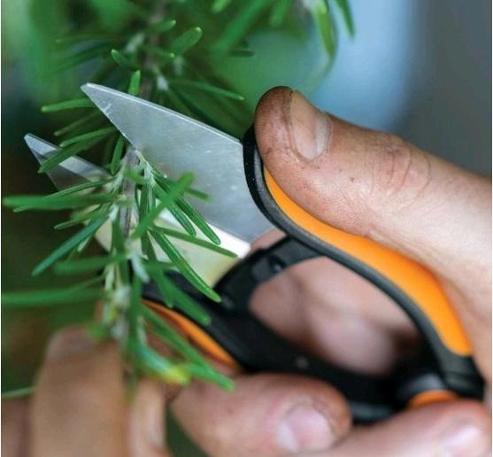 Produktbild Fiskars Kräuterschere