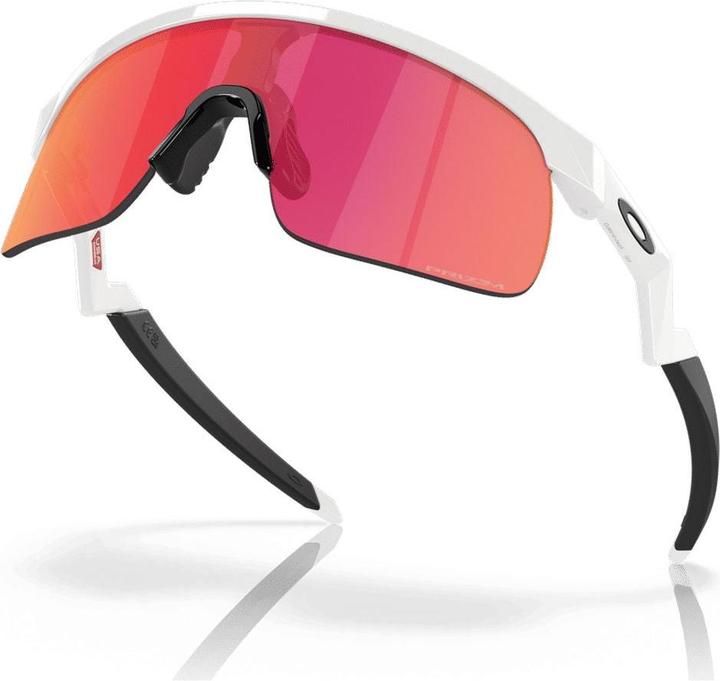 Actual product image Oakley Resistor (Polished white, White glossy, prizm field)