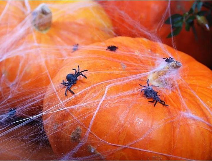 Actual product image Partydeco Spiders (10 pcs.)