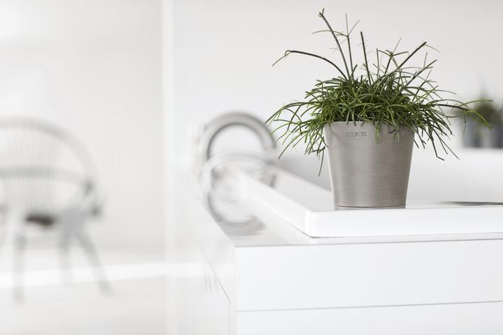 Actual product image Ecopots Amsterdam Mini (10.50 cm)