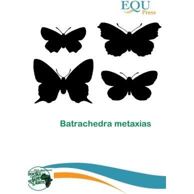 Batrachedra metaxias, Fachbücher von Wade Anastasia Jere