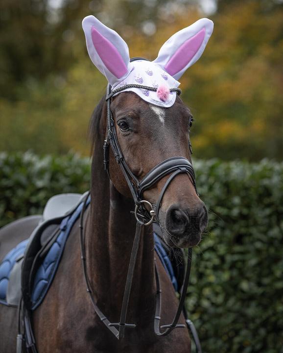 Immagine prodotto Qhp Easter