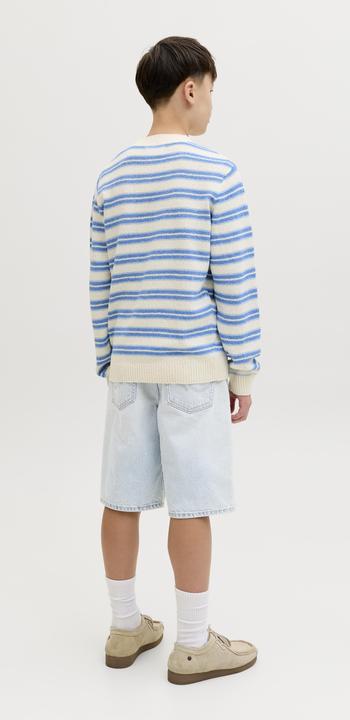Image du produit Jack & Jones Junior Hose ALEX ORIGINAL Shorts (164)