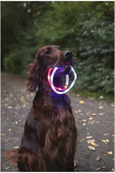 Produktbild Flamingo Leuchthalsband Nera Visio blau (23, 24, 25, 27, 28, 29, 30, 31, 32, 33, 34, 35, 36, 37, 38, 39, 40, 41, 42, 43, 44, 45, 46, 47, 48, 49, 50, 52, 54, 56, 58, 60, 62, 68, Hund, Allgemein)