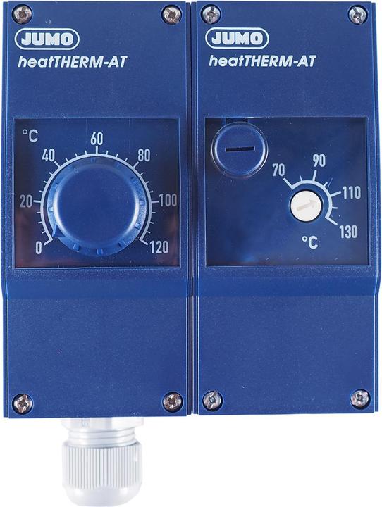 Actual product image Jumo 60003232