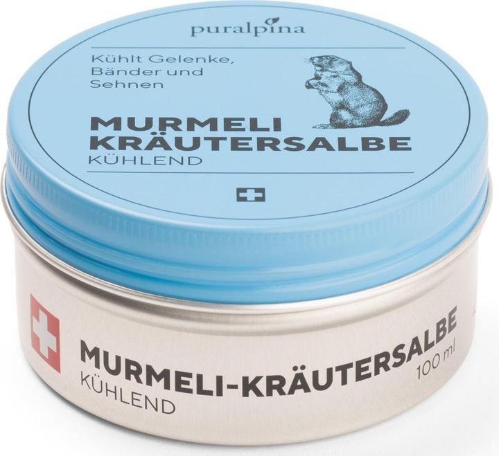 Produktbild Puralpina Murmeli-Kräutersalbe (1x)