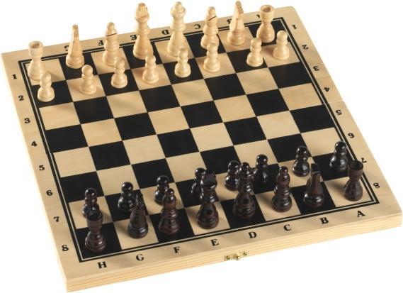 Actual product image Brio Skak