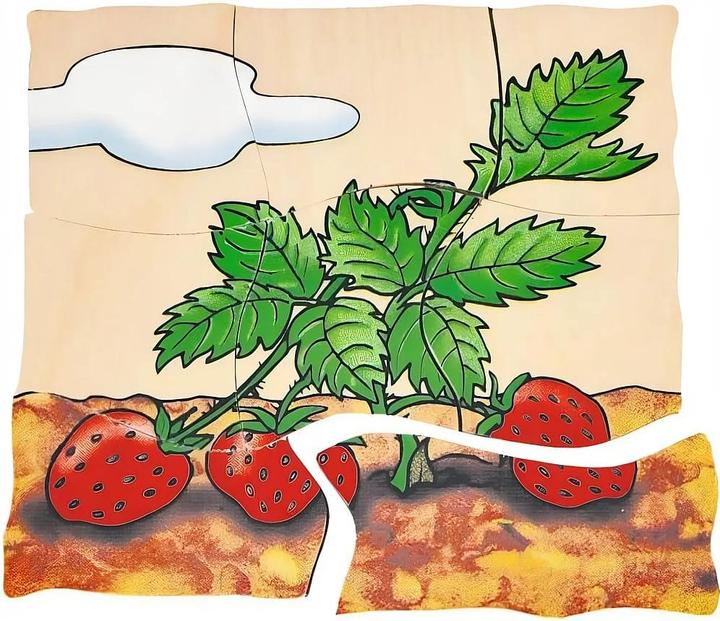 Produktbild Beleduc Erdbeere (30 Teile)