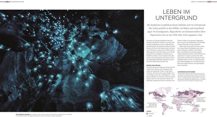 Actual product image Asher:Wilde Welten (German, Tom Jackson, Dr Claire Asher, Dr Julia Schröder, Derek Harvey., Michael Kokoscha, Claudia Franca de Abreu, Dr Rebecca Green, DK Publishing House, 2025)