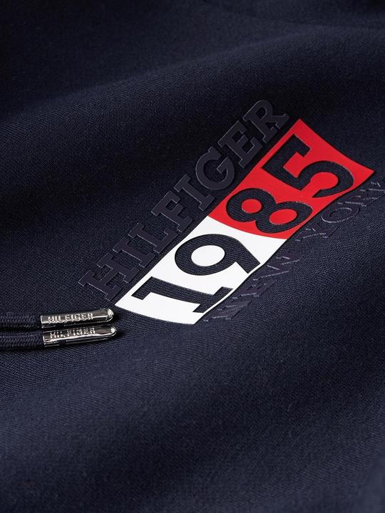 Produktbild Tommy Hilfiger Felpa con Cappuccio (XL)