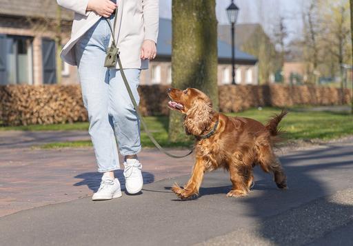 Actual product image Designed by Lotte Dog collar Velura (50, Dog, Jogging, Walks)