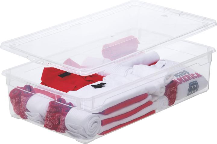 Image du produit Rotho Clair (40 cm, 30 l, 1x)