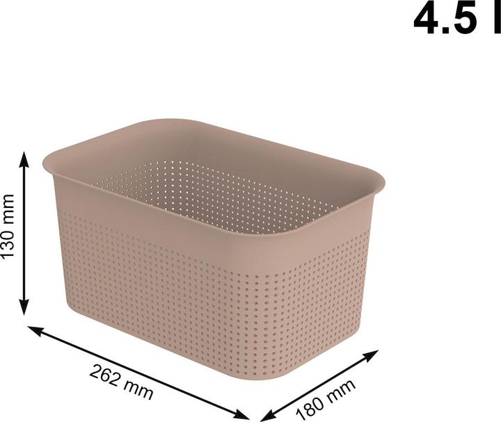 Actual product image Rotho Box 4,5 l BRISEN (4.50 l)