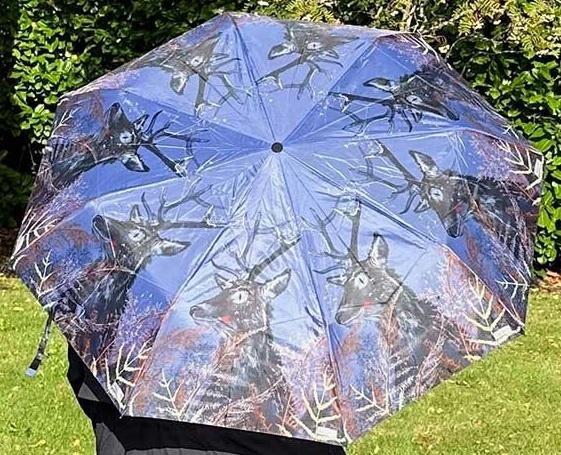 Actual product image Alex Clark Art Hirschschirm