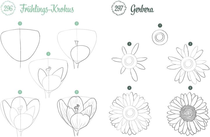 Immagine prodotto Disegna 300 motivi - Botanica
