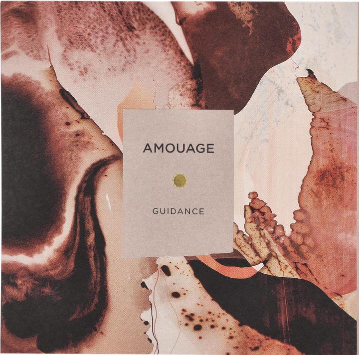 Image du produit Amouage Guidance (Eau de parfum, 100 ml)