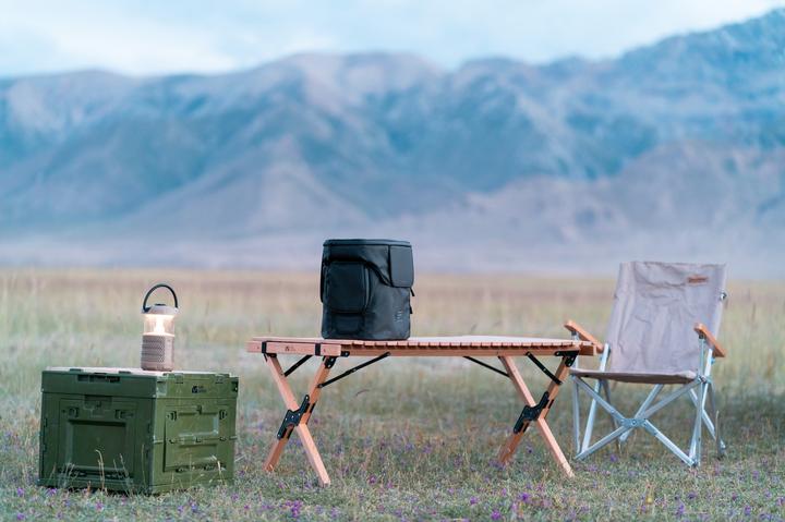 Immagine prodotto EcoFlow Borsa Delta 2