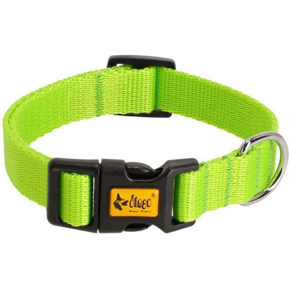 Red Dingo DINGO Energy verde - Collare per cani - 24-39 cm (39, Cane, Generale), Collare + Guinzaglio
