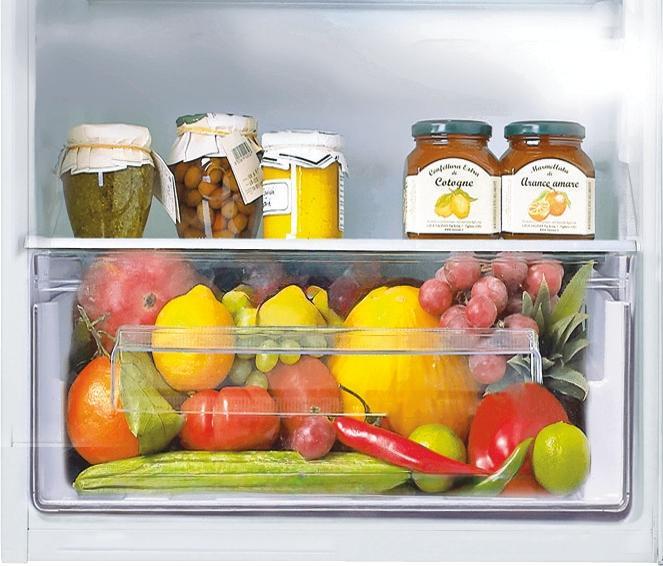 Actual product image Candy CTM516EW Built-in Double Door Refrigerator (242 l)