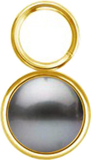 Image du produit Star Piercing Anhänger vergoldet ein Perle schwarz (sans laiton, Acier chirurgical 316L)
