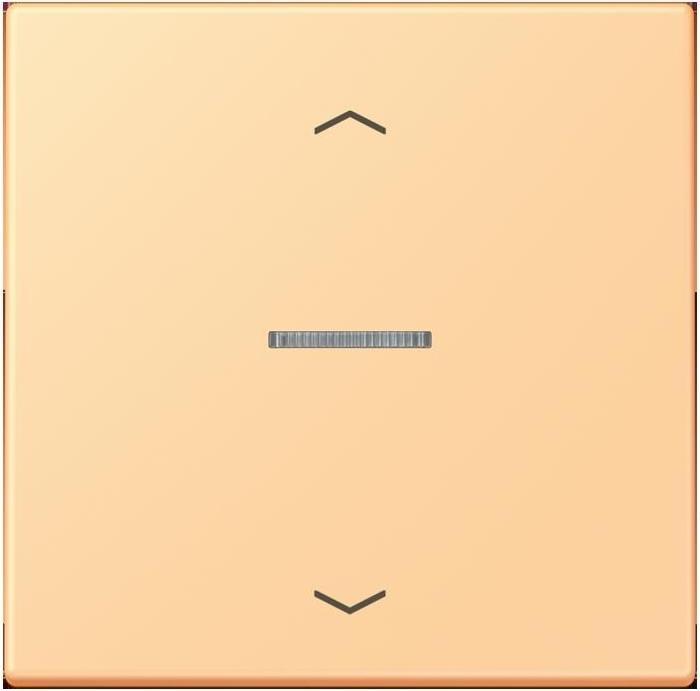 Actual product image JUNG BTLC17101P258 HOME push button