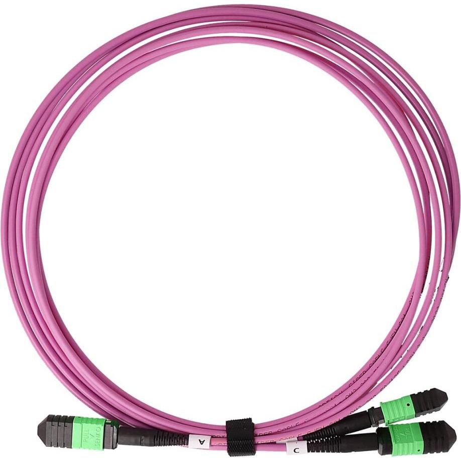 BlueOptics HPE P49766-B22 cavo patch OM4 multimodale compatibile MPO-12-2xMPO-4 da 5 metri (5 m), Cavo di rete