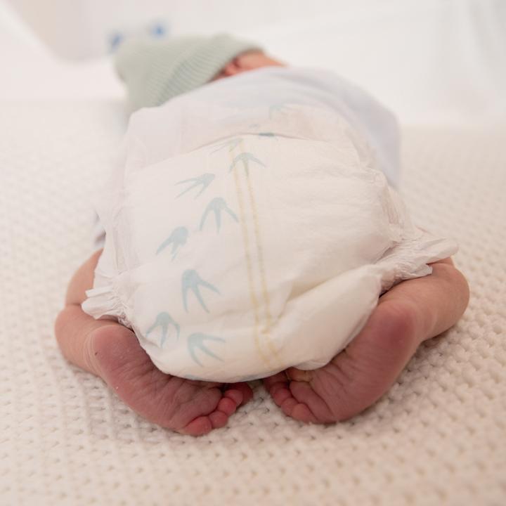 Actual product image Pingo Mini (Size 2, Half month box, 84 Piece)