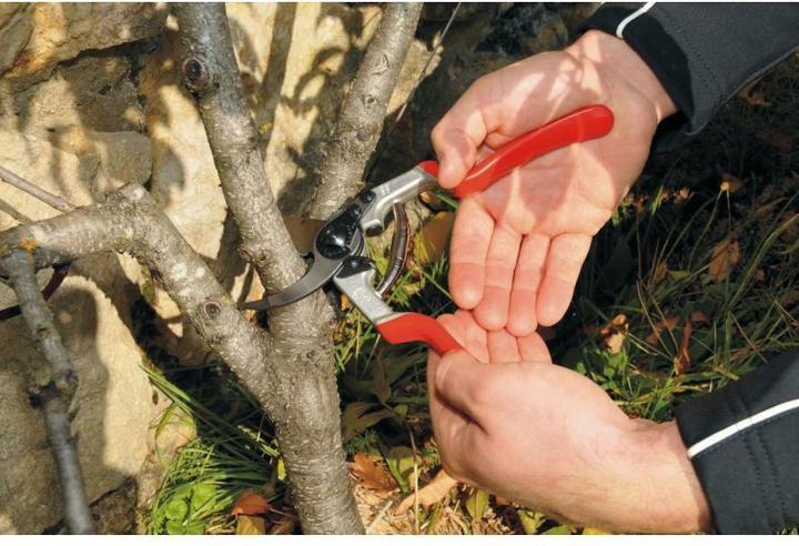 Produktbild Felco 13 Bypass Gartenschere