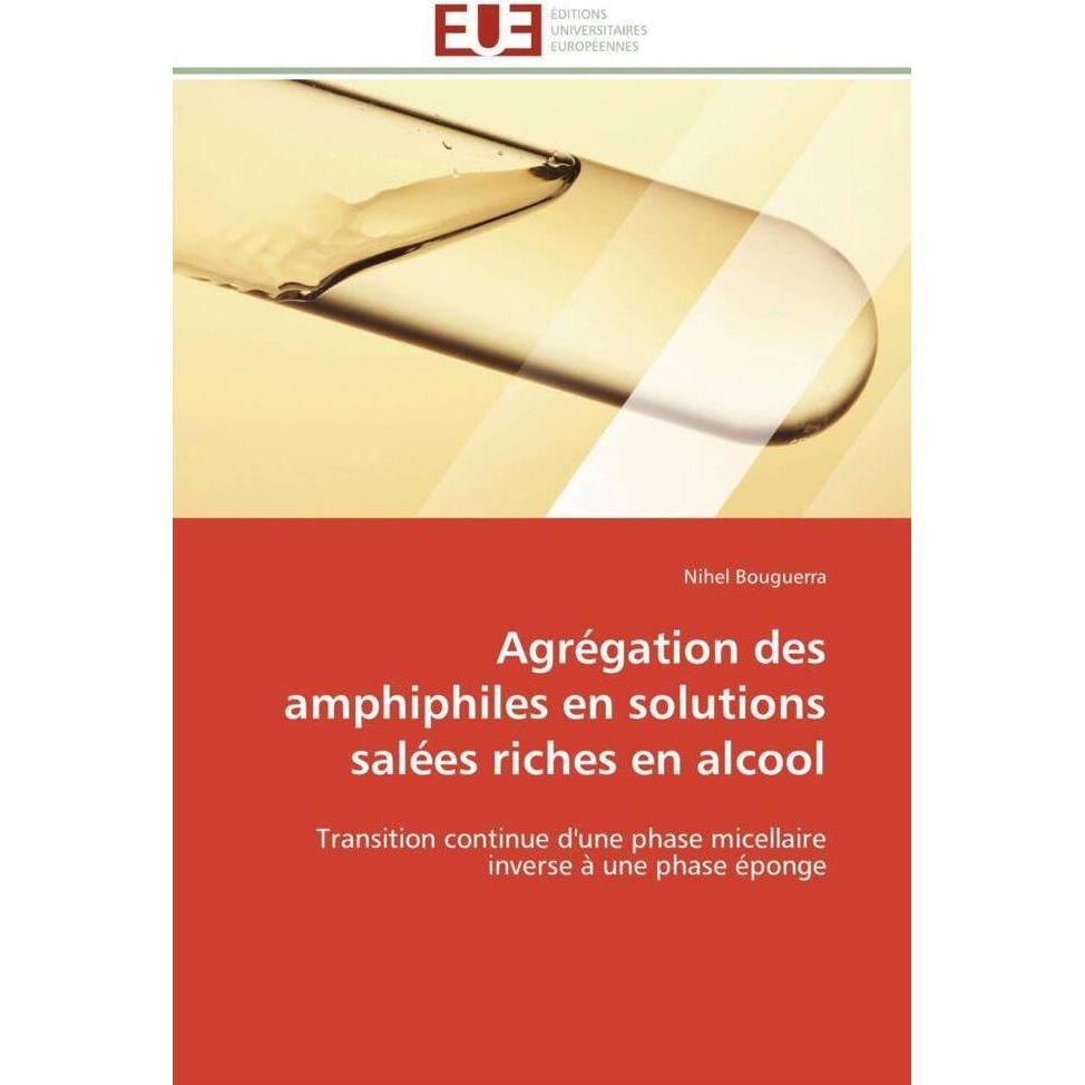 Agrégation des amphiphiles en solutions salées riches en alcool, Fachbücher von Nihel Bouguerra