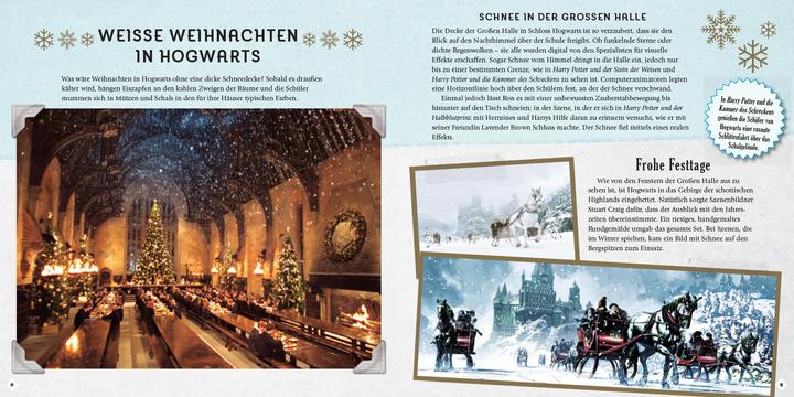 Produktbild Panini Harry Potter: Weihnachten in der Zauberwelt - Das Handbuch zu den Filmen (Deutsch, Jody Revenson, 2020)