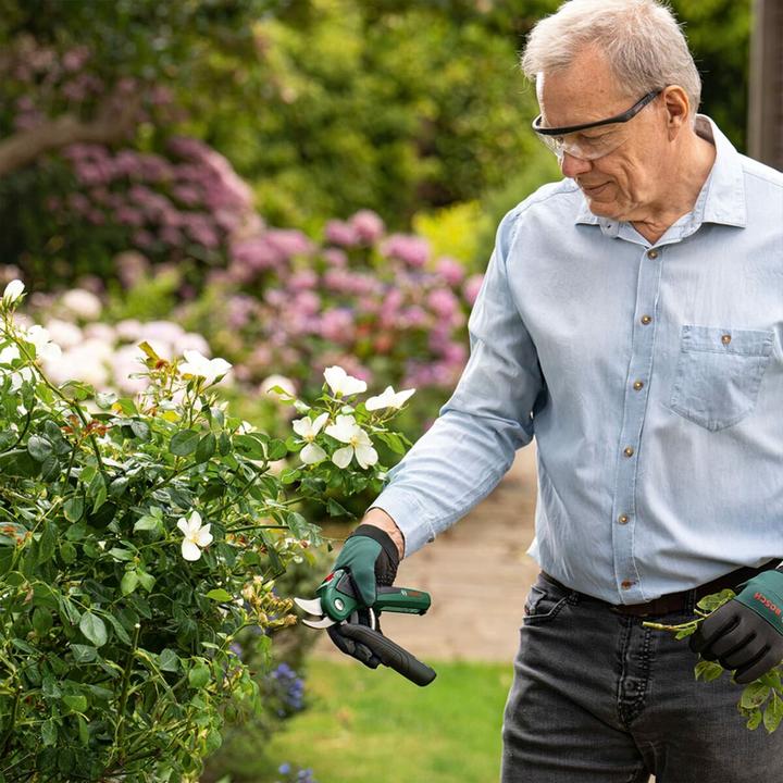 Produktbild Bosch Home & Garden EasyPrune