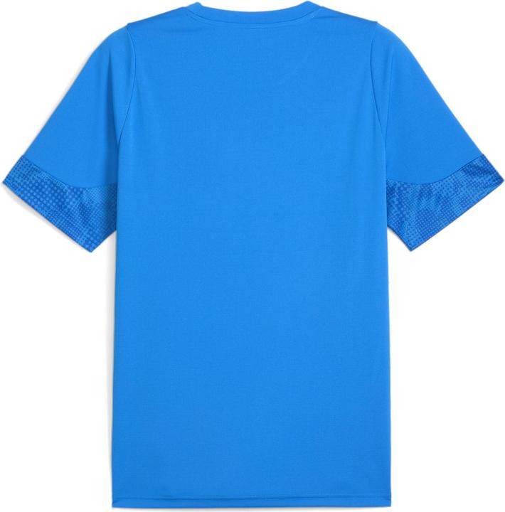 Actual product image Puma teamCUP Training Jersey (S)