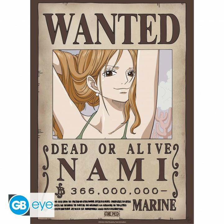 Image du produit GB Eye One Piece - Nami & Robin