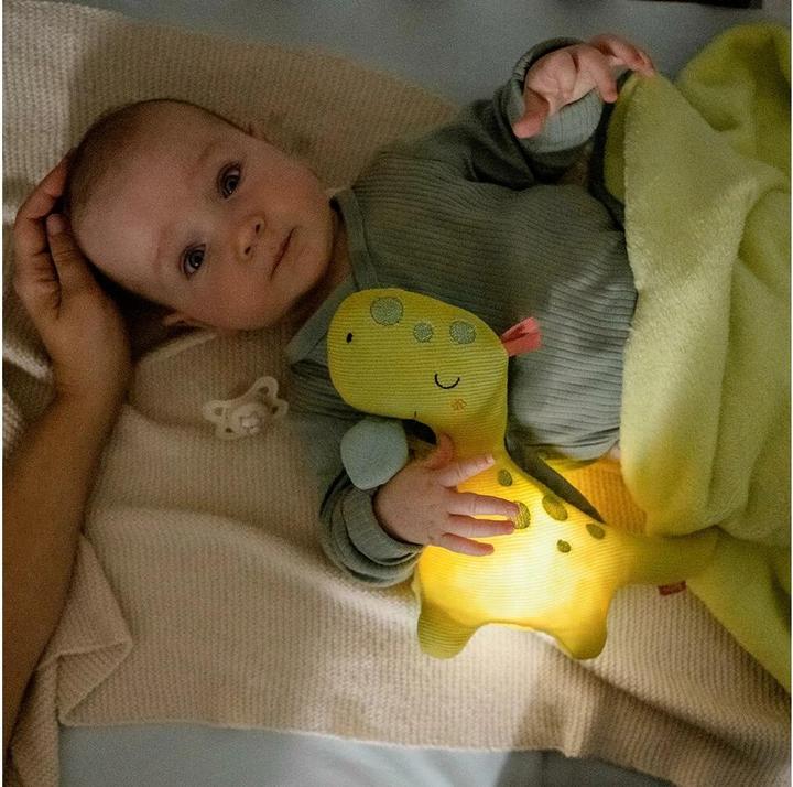 Image du produit Fehn Veilleuse Dino