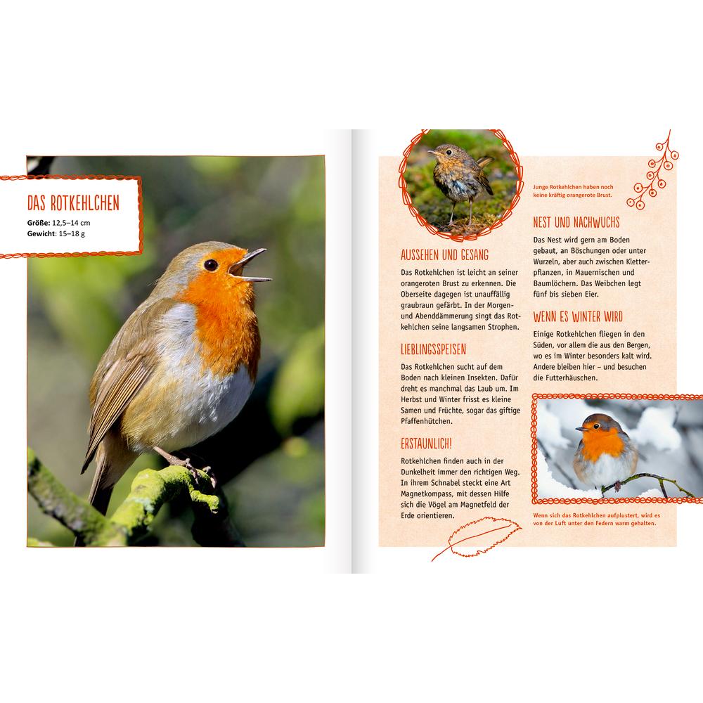 Thumbnail - Vögel in unserem Garten, Kinderbücher von Holger Haag