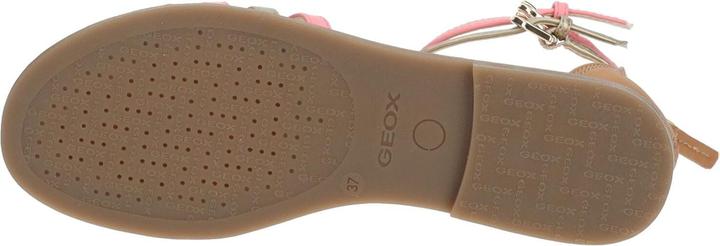 Actual product image Geox Sandalen (34)