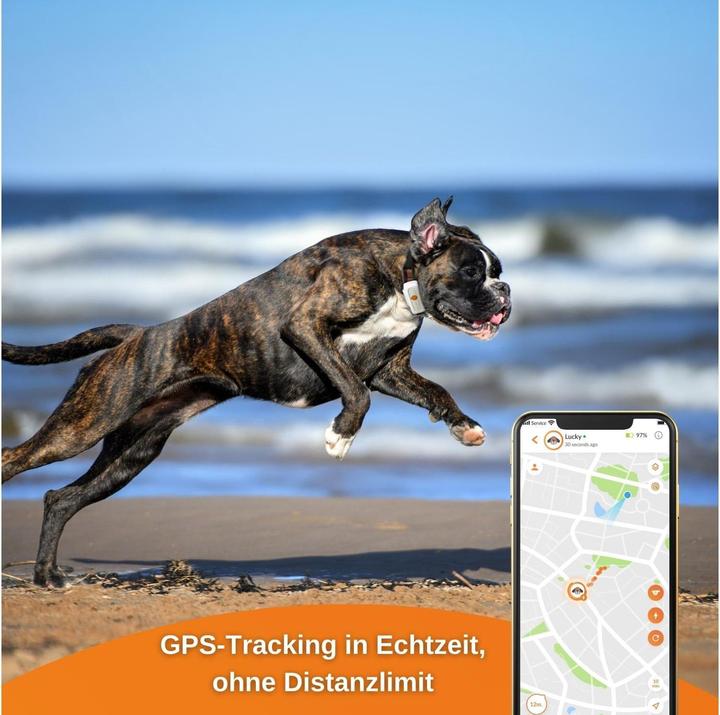 Immagine prodotto Weenect Localizzatore GPS (Android, Apple)