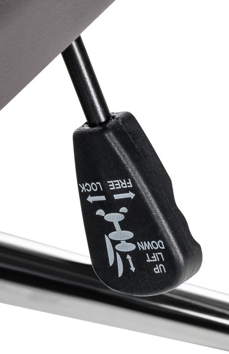 Actual product image CLP Mollis