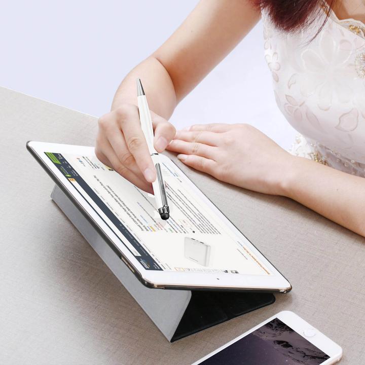 Actual product image Avizar 2-in-1 stylus / biros