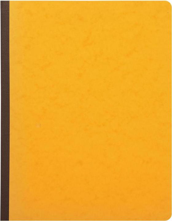 Image du produit Exacompta Livres de comptes (320 x 250 mm, À rayures, Couverture rigide)