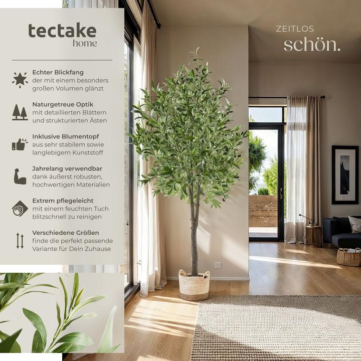 Actual product image tectake Olivenbaum Oleand (180 cm)