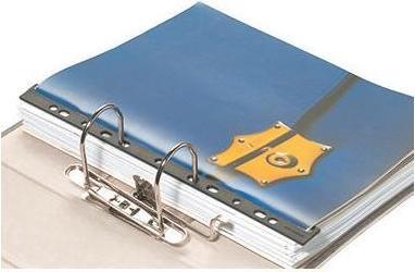 Produktbild Durable ORDNUNGSSCHIENE 1 Pg. Ã 50 Stück 293502 (A4, 1x)