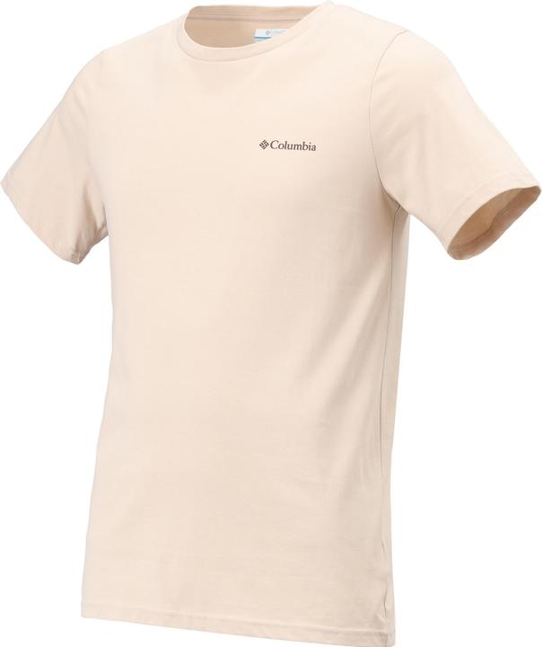 dark stone-framed landscape