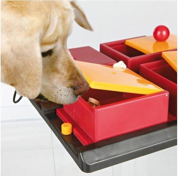 Produktbild Trixie Poker Box 2 (Intelligenzspielzeug Hund)