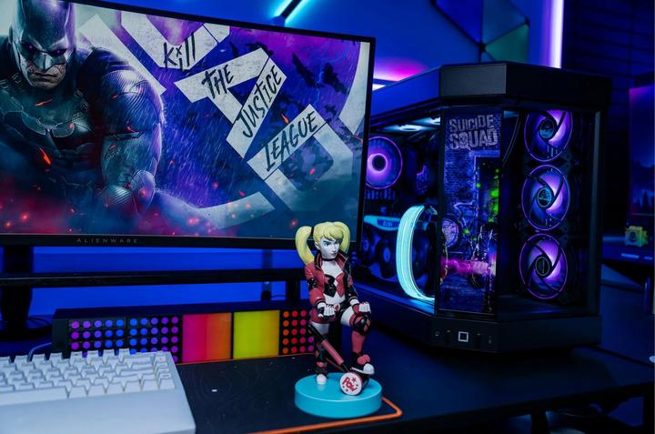 Actual product image Activision Cable Guy Suicide Squad : Harley Quinn 20 cm (Xbox 360, Mac, PS4, Switch, PS5, Xbox One S, PC, Xbox Series X)