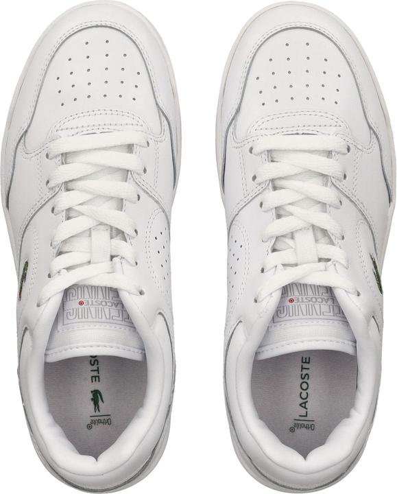 Image du produit Lacoste Sneaker (41)