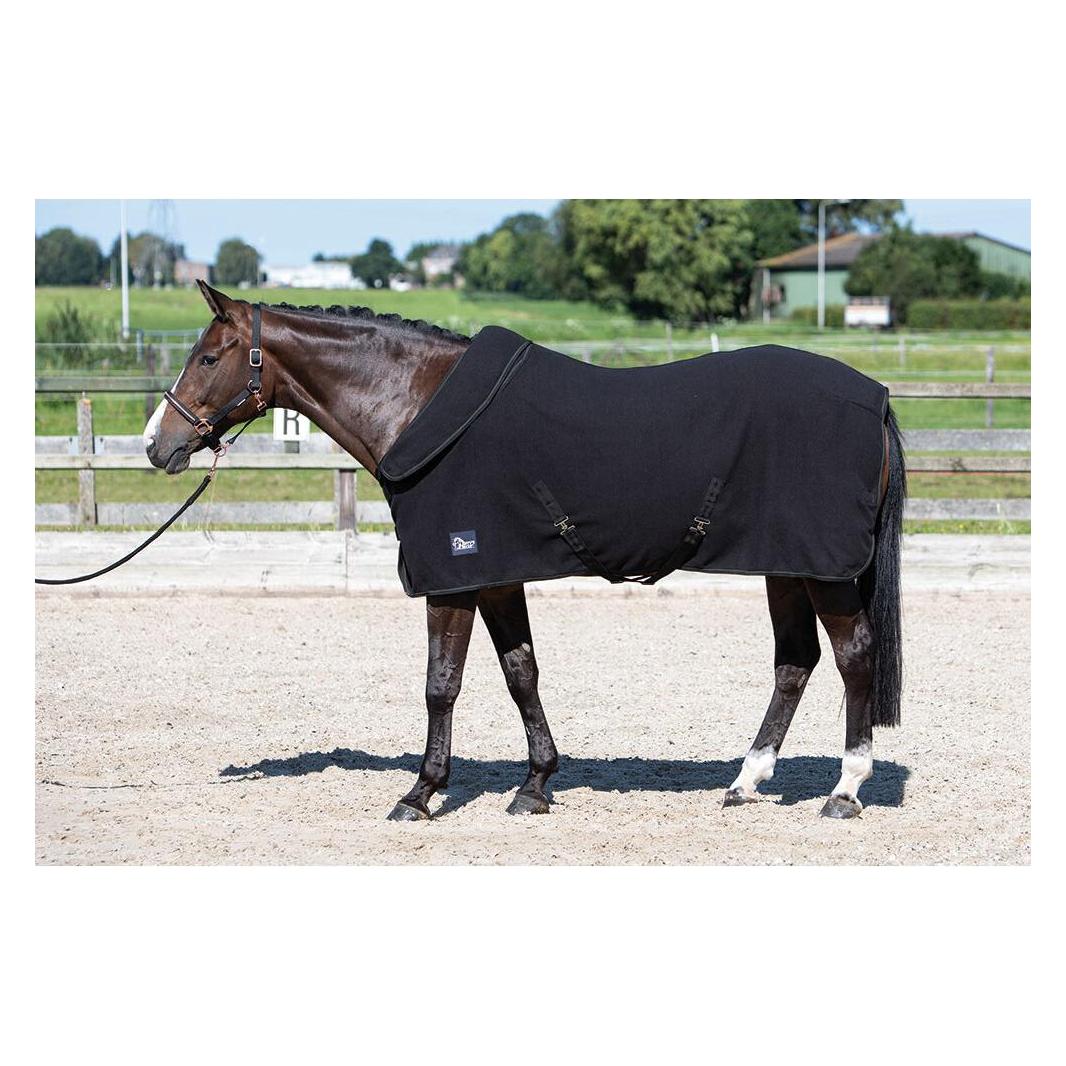 Harry's Horse, Pferdedecke, (185 cm)